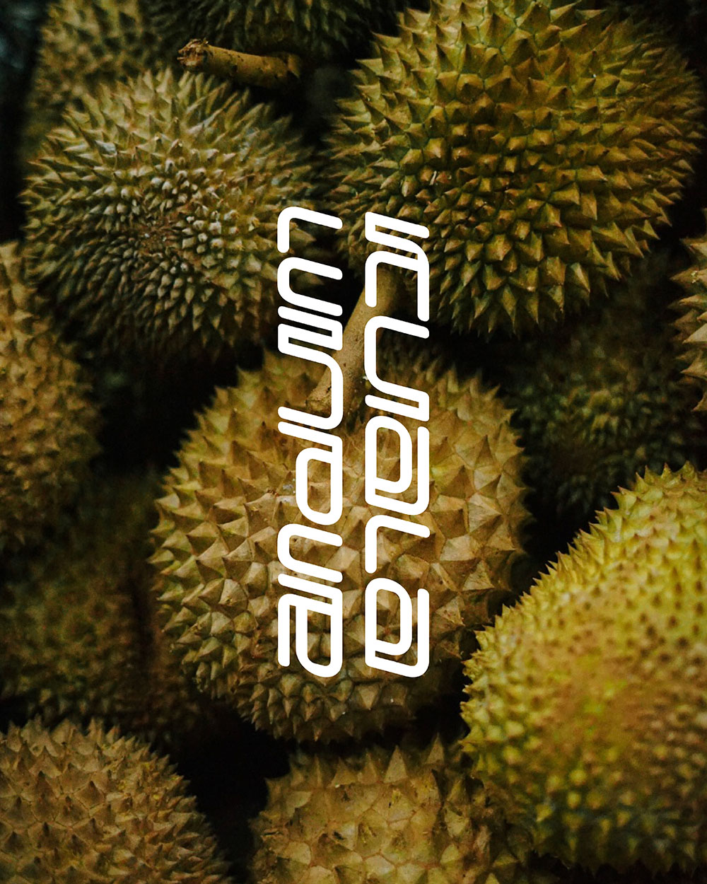 Kuala Lumpur Typographic Title Design for Travel Video