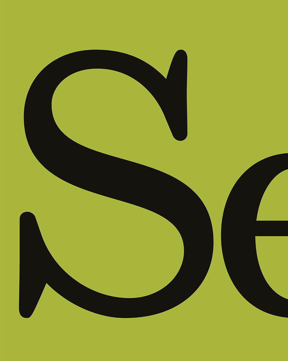 Self raised Typeface, Big S Letter Design