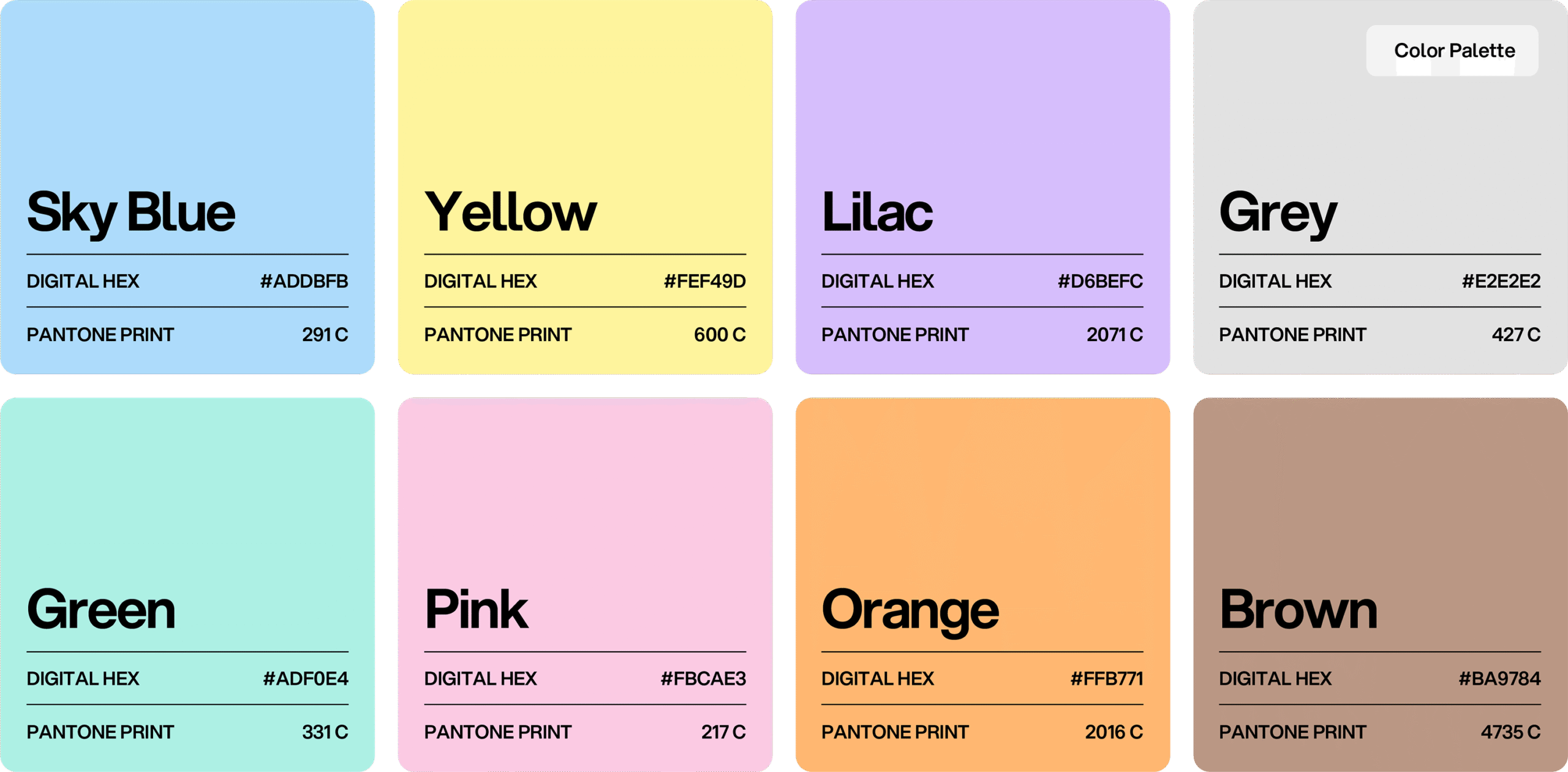 Skin First Restyle Brand Identity Color Palette
